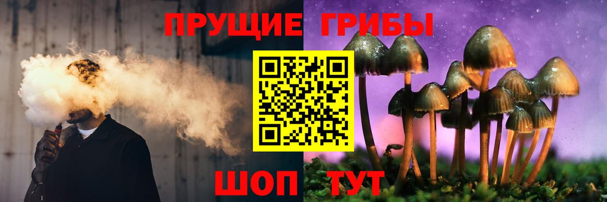 Псилоцибиновые грибы мицелий Серпухов